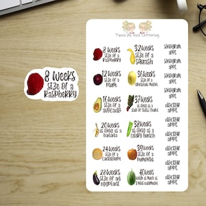 May include: A sticker sheet with pregnancy milestones, comparing baby's size to fruits and vegetables. Includes text like "8 weeks size of a raspberry" and "32 weeks size of a squash". The sheet also has appointment reminders.