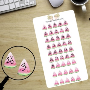 Days Of The Month Stickers, Watermelon Stickers, Half Sheet Stickers, Stickers For Planners, Planner Stickers