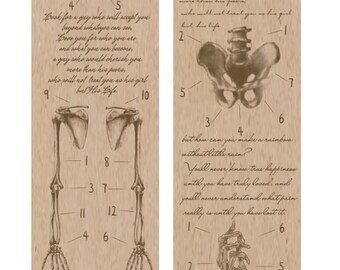 Halloween Skeleton Washi Tape | Gothic Anatomical Bones Roll for Journaling, Scrapbook, Dark Academia & Spooky Crafts - 1 Roll