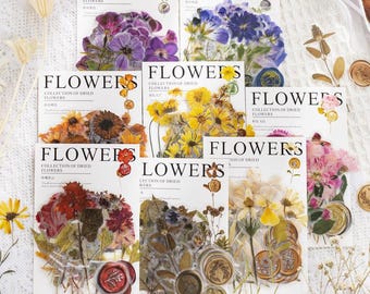 40 pcs Pressed Flower Stickers for Junk Journaling | Botanical Herbarium Set | 8 Color Collections | Dried Floral Scrapbook Ephemera