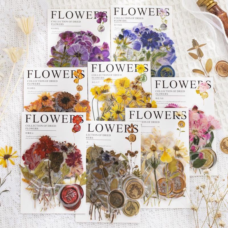 植物標本15枚　ドイツアンティーク　押し花/ハーバリウムドライフラワーフランス 美術品・アンティーク・コレクション 植物標本15枚 ドイツアンティーク