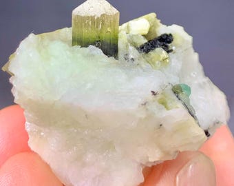 Leaf Green Tourmaline on Feldspar From Skardu Pakistan. 155 CT