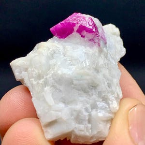 Könnte beinhalten: Ein rohes, natürliches Mineralexemplar mit einer leuchtend pinkfarbenen Kristallformation auf einer weißen, strukturierten Matrix. Die kristalline Struktur des pinkfarbenen Minerals kontrastiert mit der rauen, undurchsichtigen weißen Basis. Das Exemplar wird vor einem dunklen Hintergrund gehalten.