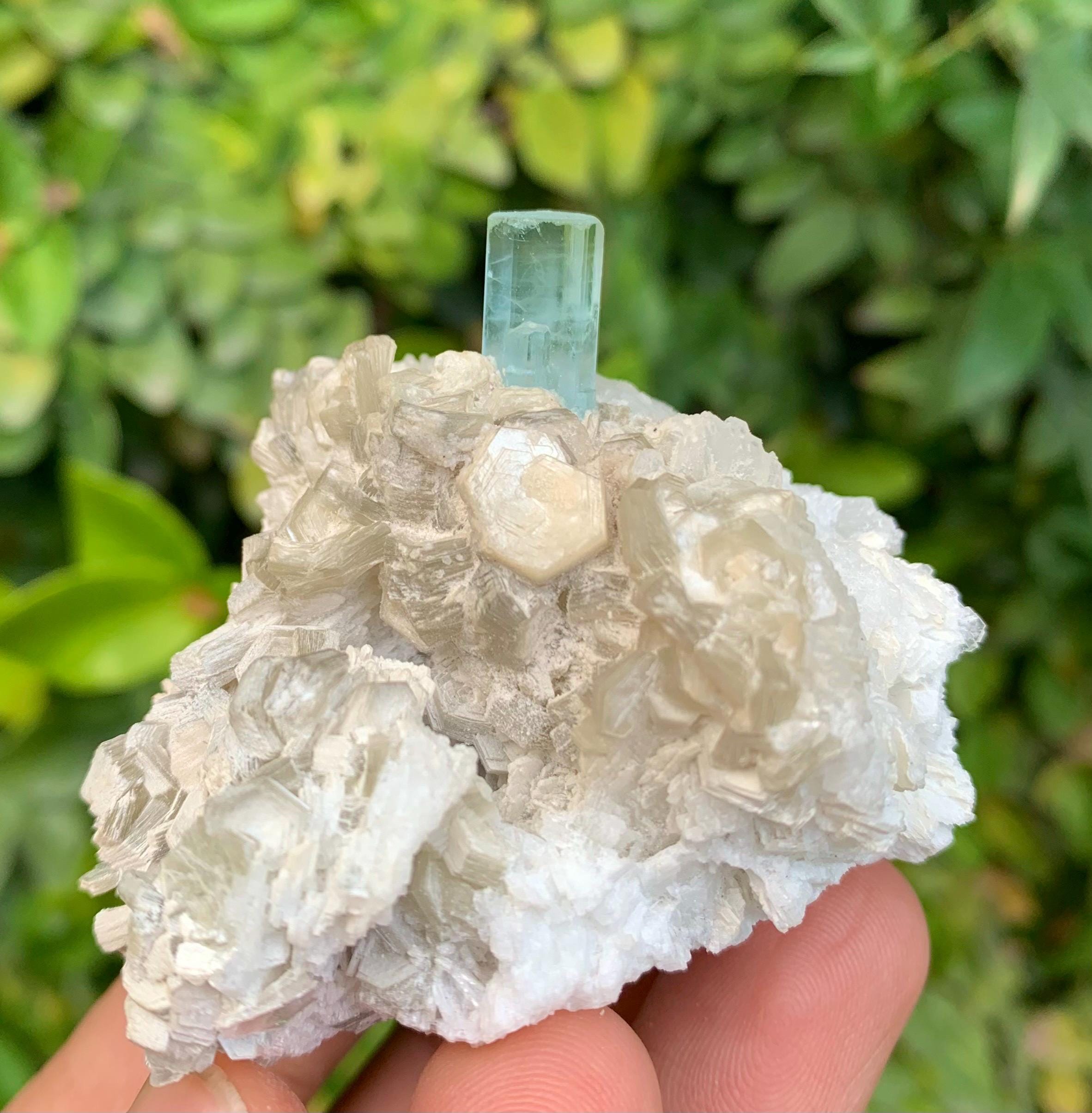 スカイブルーアクアマリン、白雲母、アルバイト入り、パキスタン