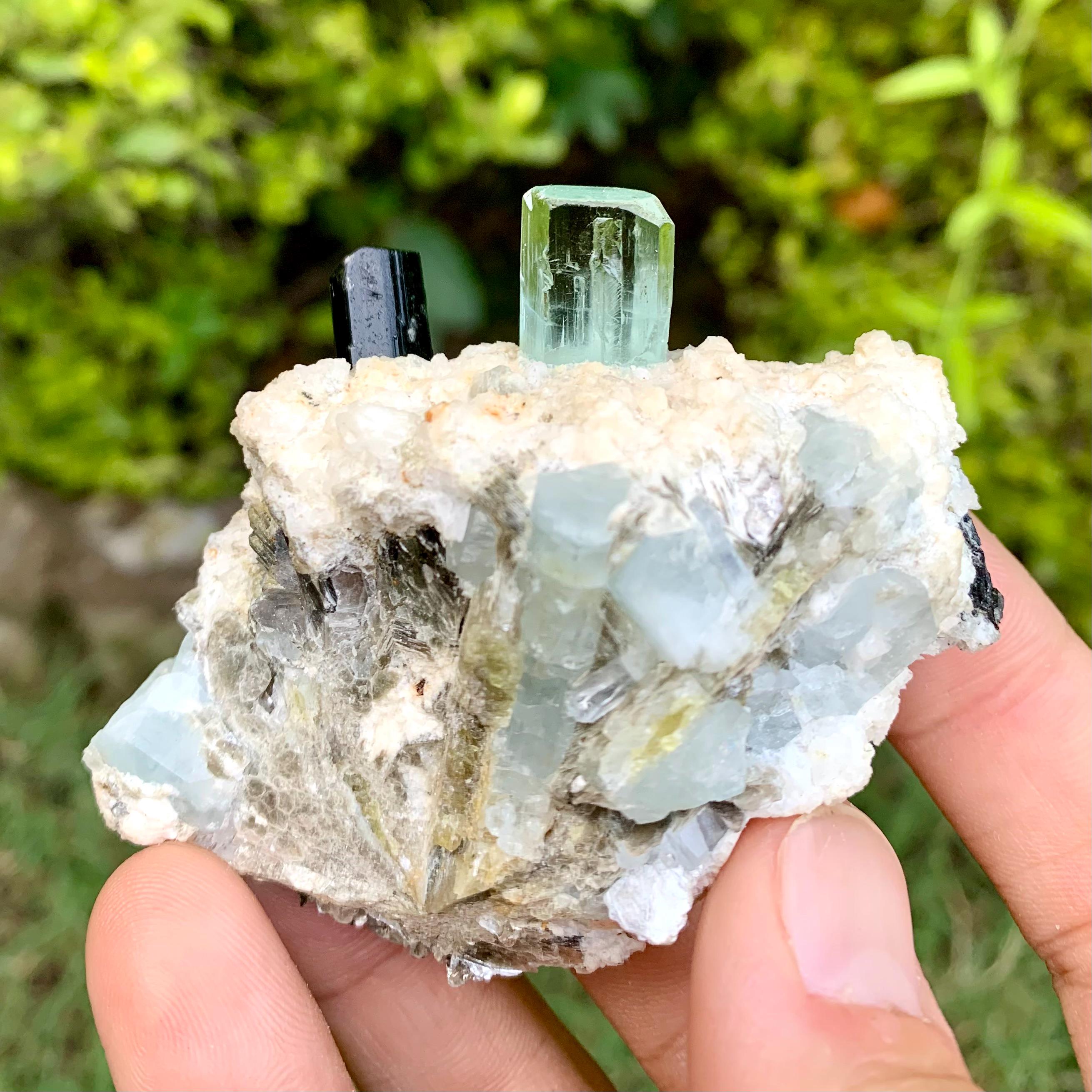 スカイブルーアクアマリンとブラックトルマリン：パキスタンのシガー