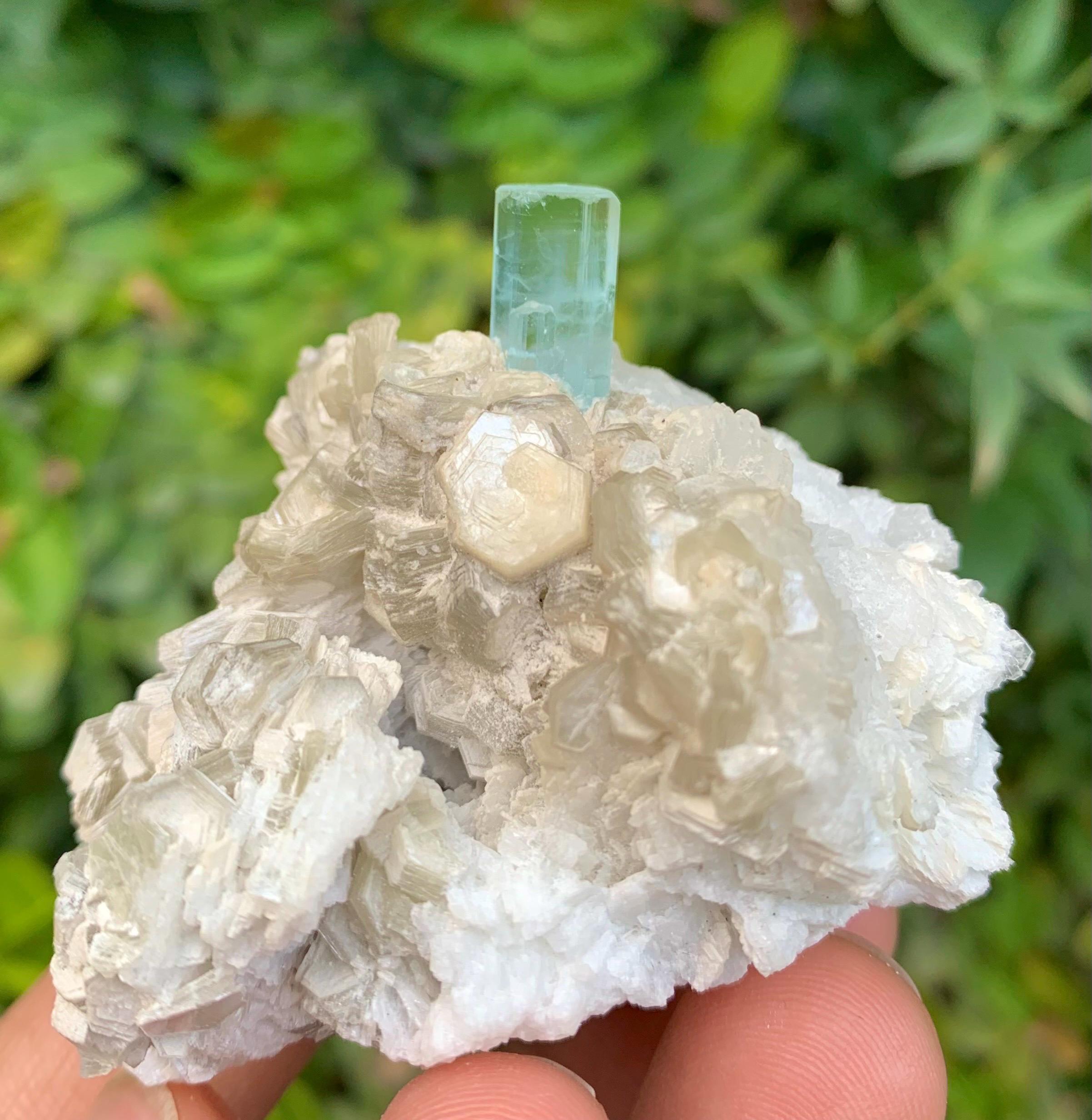 スカイブルーアクアマリン、白雲母、アルバイト入り、パキスタン