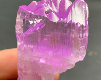 May include: A large, translucent, pink crystal with a striated surface. The crystal has a unique, jagged shape and appears to be a natural specimen.