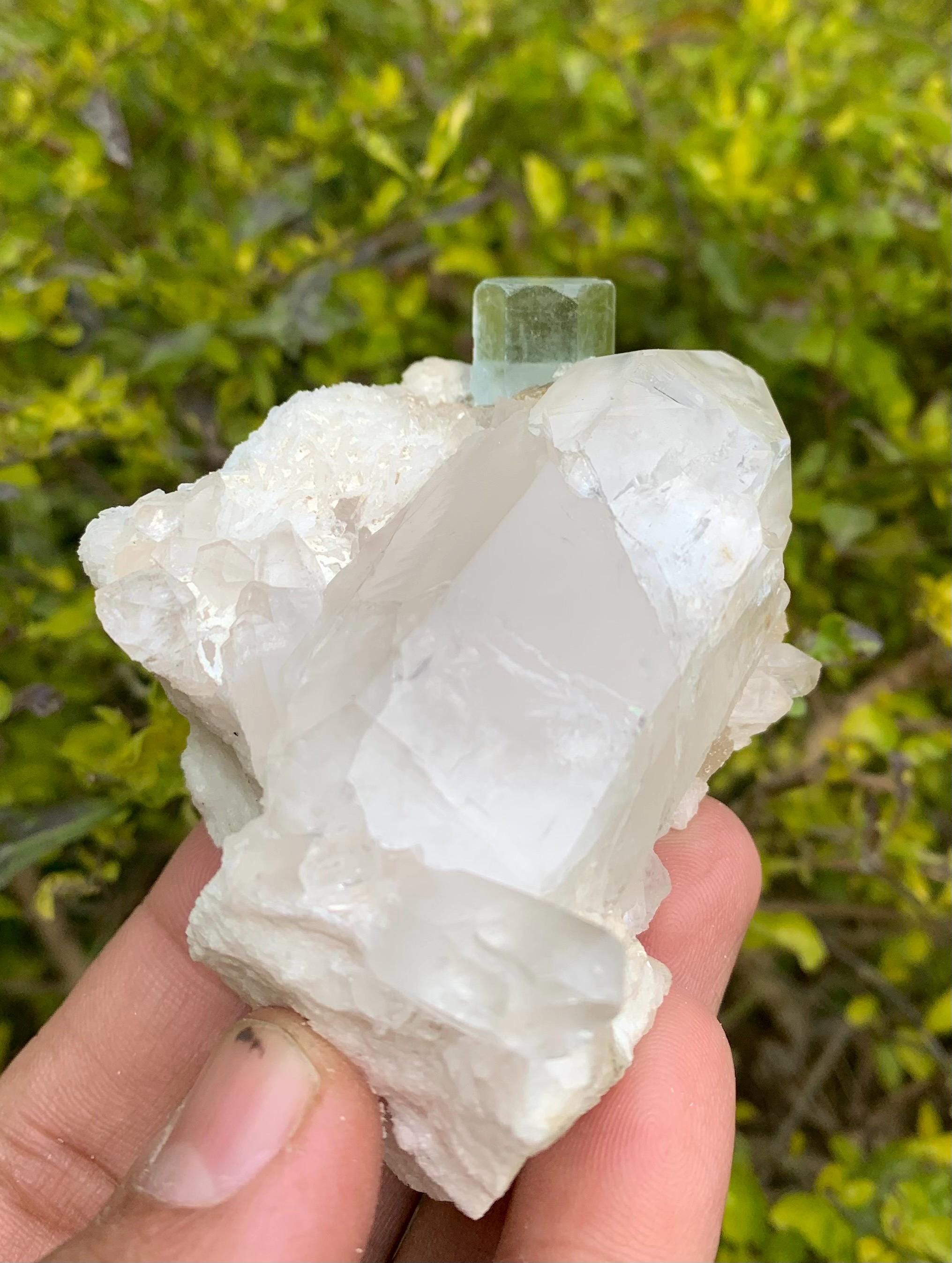 パキスタン、スカルドゥのシガール鉱山産、クォーツと白雲母入り天然