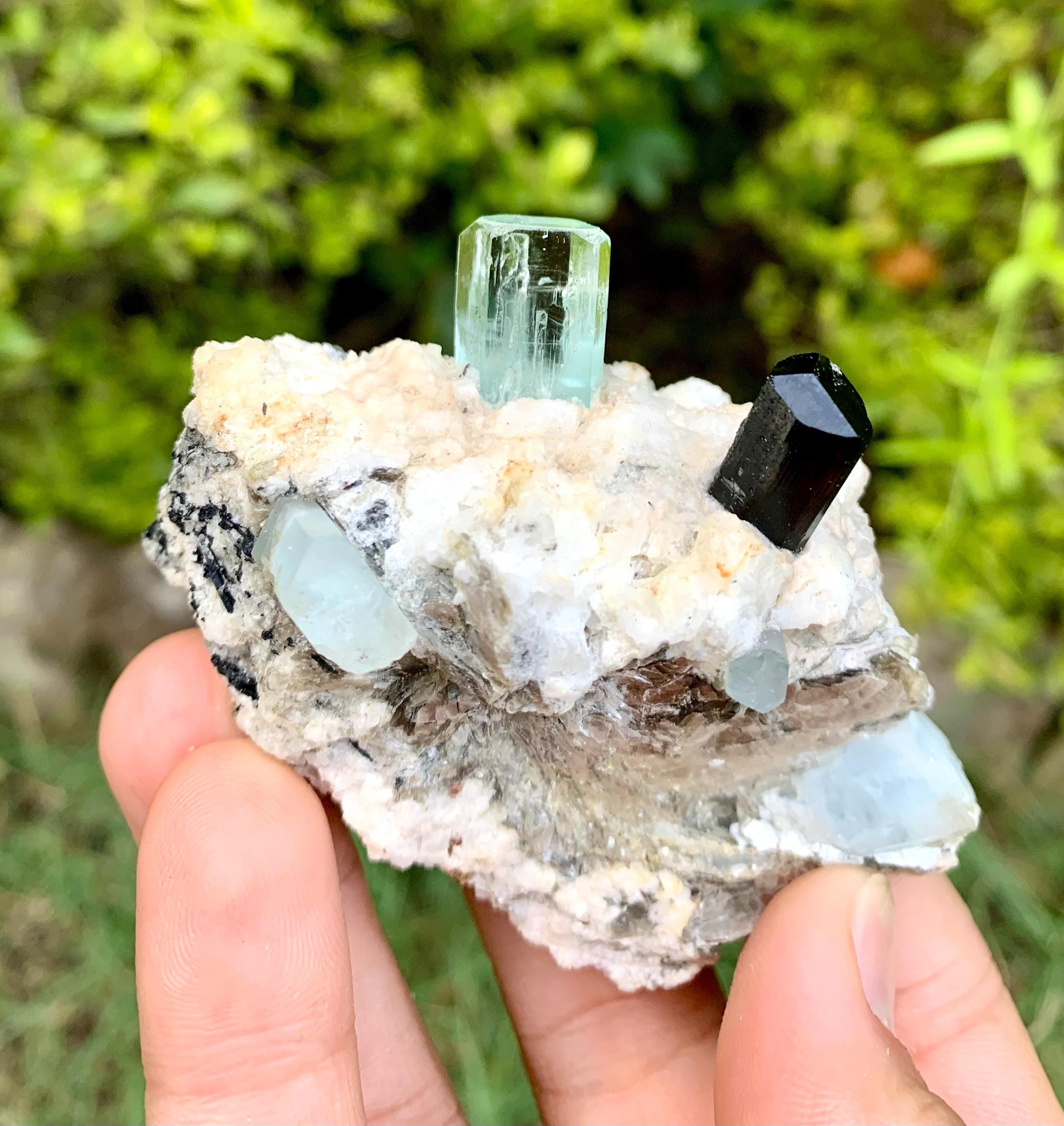 スカイブルーアクアマリンとブラックトルマリン：パキスタンのシガー