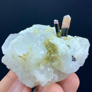 Puede incluir: Primer plano de un espécimen mineral que presenta un grupo de cuarzo blanco con varios cristales de turmalina. Los cristales de turmalina son una mezcla de colores rosa, beige y verde, con una base verde oscuro.