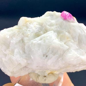Peut inclure: Un groupe de cristaux de calcite blancs avec un seul cristal de rubis rose sur le dessus.