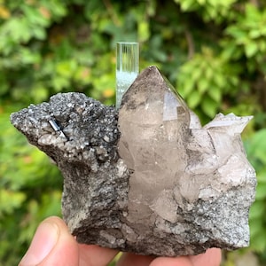 May include: A natural mineral specimen featuring a smoky quartz crystal with a clear, pointed tip. A light green tourmaline crystal stands upright, and the base rock is a dark grey colour.