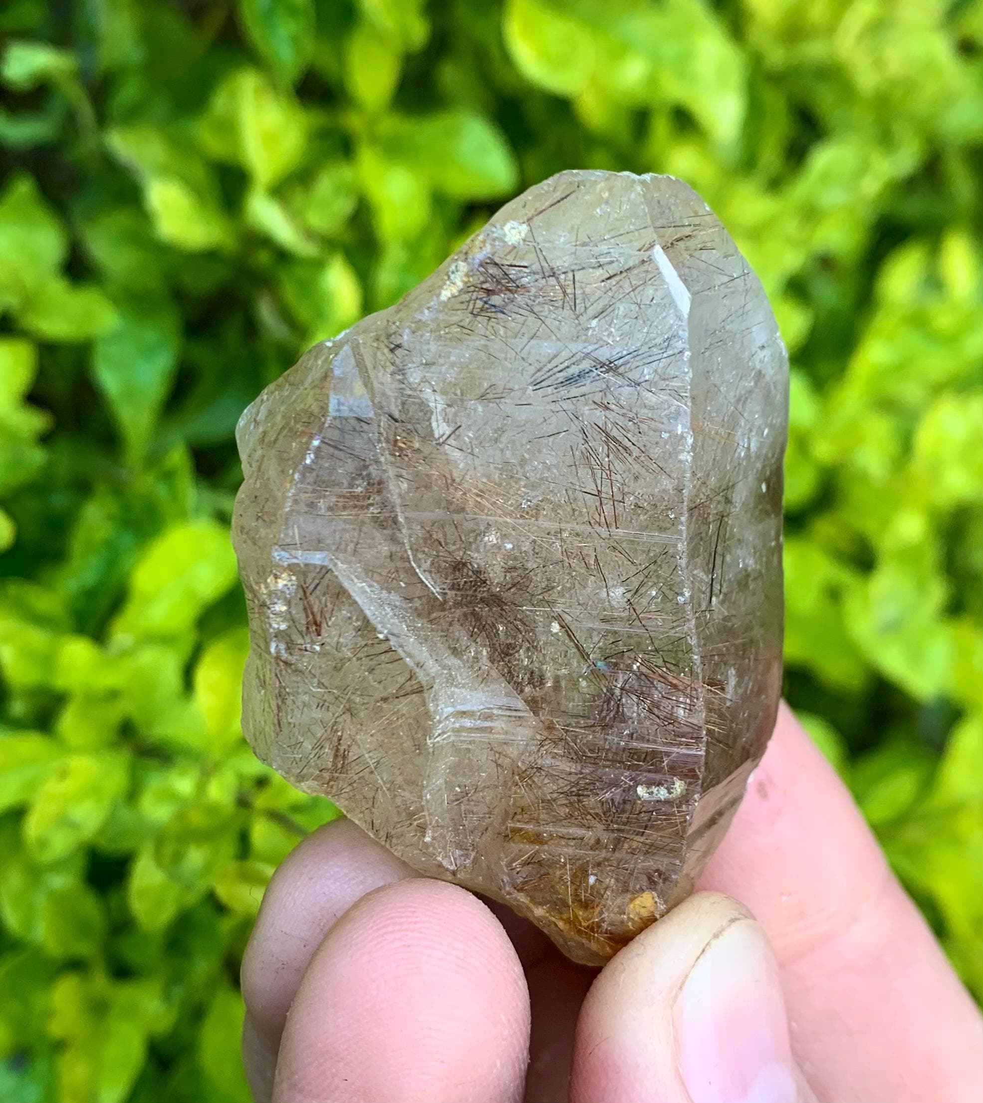 天然バイカラールチルクォーツクリスタル、パキスタンのシガール鉱山産