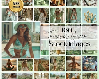 160 wiecznie zielonych zdjęć stockowych: MRR PLR Social Media Images