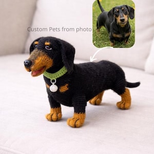May include: A crocheted dachshund dog in black and tan, wearing a green collar with a white charm. The dog is on a light surface. The text "Custom Pets from photo" is visible. A photo of a real dog is in the background.