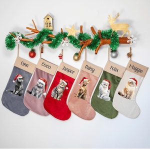 May include: Six personalized Christmas stockings with cat portraits, each wearing a Santa hat. The stockings are in various colors, including gray, pink, red, and green, and are hanging from a decorative branch with festive ornaments.