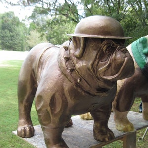 Military Style Large Bulldog Mascot Statue