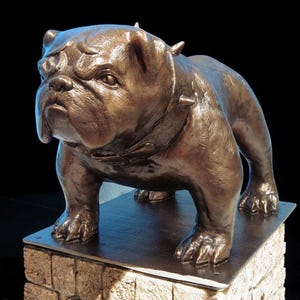 Bruiser ... English Bulldog Mascot Trophy/Award