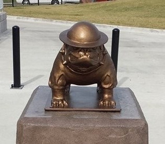 Sargeant Dawg  Military Style Life Size English Bulldog Mascot