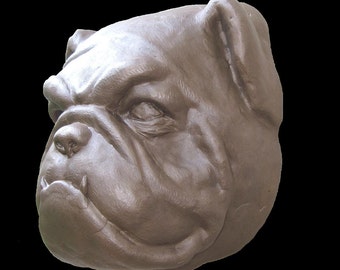 Meat Head the Bulldog Trophy/Award