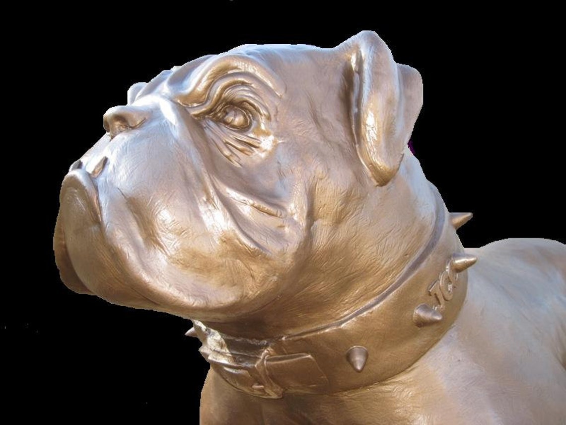 Bulldog Mascot Statue American Bulldog Body Type Etsy