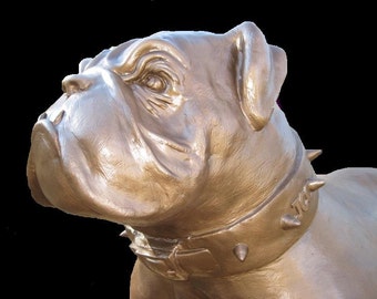 Bulldog Mascot Statue ... American Bulldog Body Type
