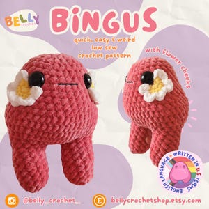 Bingus - Fun and Simple Flower Amigurumi Crochet Pattern with free mod DIGITAL DOWNLOAD