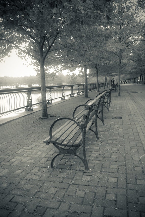 Fine Art Photography On Metallic Paper Of Park Benches In Etsy