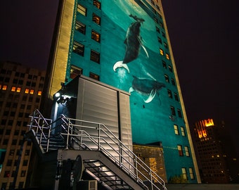 Detroit Whale Mural Broderick Tower Building at Night Fine Art Photograph Print Cityscape