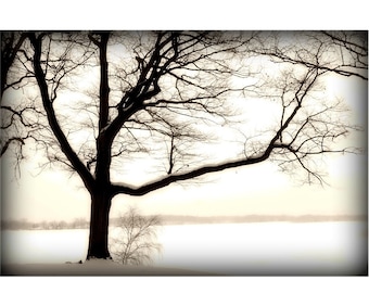 Snowy Winter Tree Sepia Fine Art Photograph by Detroit Photographer Janna Coumoundouros