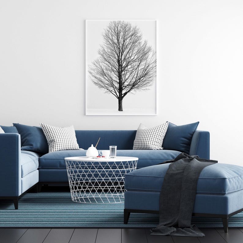 Landscape Black and White, Winter Tree, Fine Art Photographic Print on Metallic Paper image 1