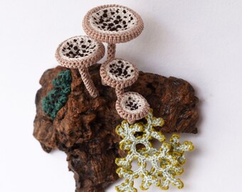 Woodland whimsey, miniature textile fungi and lichen