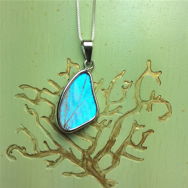 Real Butterfly Wing .925 Sterling Pendant Necklace, Double Sided Mother of Pearl Morpho Butterfly, Morpho Sulkowskyi J127M