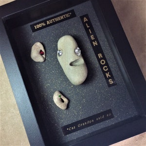 May include: A framed display of three rocks with rhinestones glued on them. The rocks are labeled "Alien Rocks" and "100% Authentic*" with the text "*Cuz Grandpa said so".