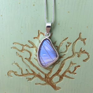 Real Butterfly Wing .925 Sterling Pendant Necklace, Double Sided Mother of Pearl Morpho Butterfly, Morpho Sulkowskyi J127M