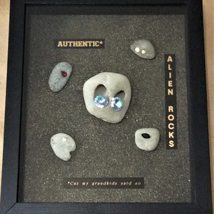 Outta This World: Framed Alien Rocks AR-326