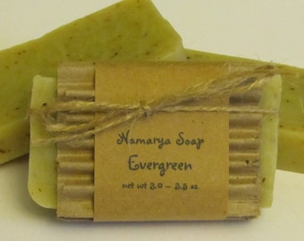 Evergreen Cold Process Soap