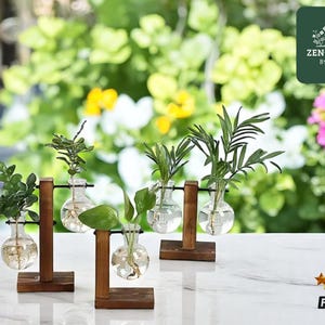 Handgemachte Pflanzenvermehrungsstation | Holzrahmen-Stütze | Hydrokultur Bonsai Vase | Transparente Terrarium Topf | Einweihungsparty Geschenkidee