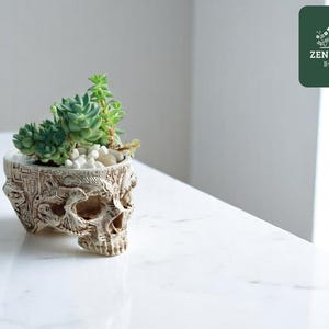 Maceta de calavera gótica / Soporte de resina para suculentas / Jarrón con cara de esqueleto tallada / Decoración espeluznante para el hogar / Regalo macabro para plantas