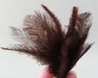 Vintage Brown Ostrich Feather Bunches, Hat Millinery (Set of Three)