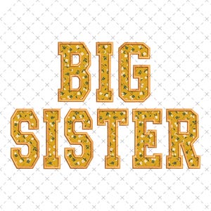 Big Sister Applique Sweatshirt Embroidery Design, Sibling  Embroidery File, Holiday Big Sister Embroider File, Sisters Instant Download