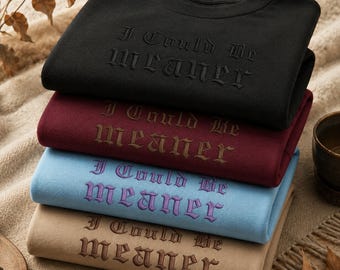 Embroidered I Could Be Meaner Sweatshirts, Funny Shirt For Women, Sarcasm Tee, Funny Quote Oversized Shirt, Gift for Her