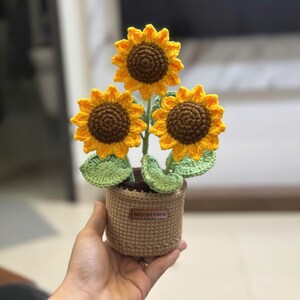 Handmade Crochet Sunflower in Pot | Colorful Crochet Flower |  Faith Gift Crochet Desk Decor | Affirmation Gift, Crochet Flower Pot