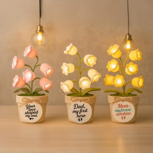 Lámpara de noche de lirio de los valles hecha a mano, lámpara de maceta tejida, lindo regalo de cumpleaños para ella o mamá, regalo para el Día de la Madre o cumpleaños