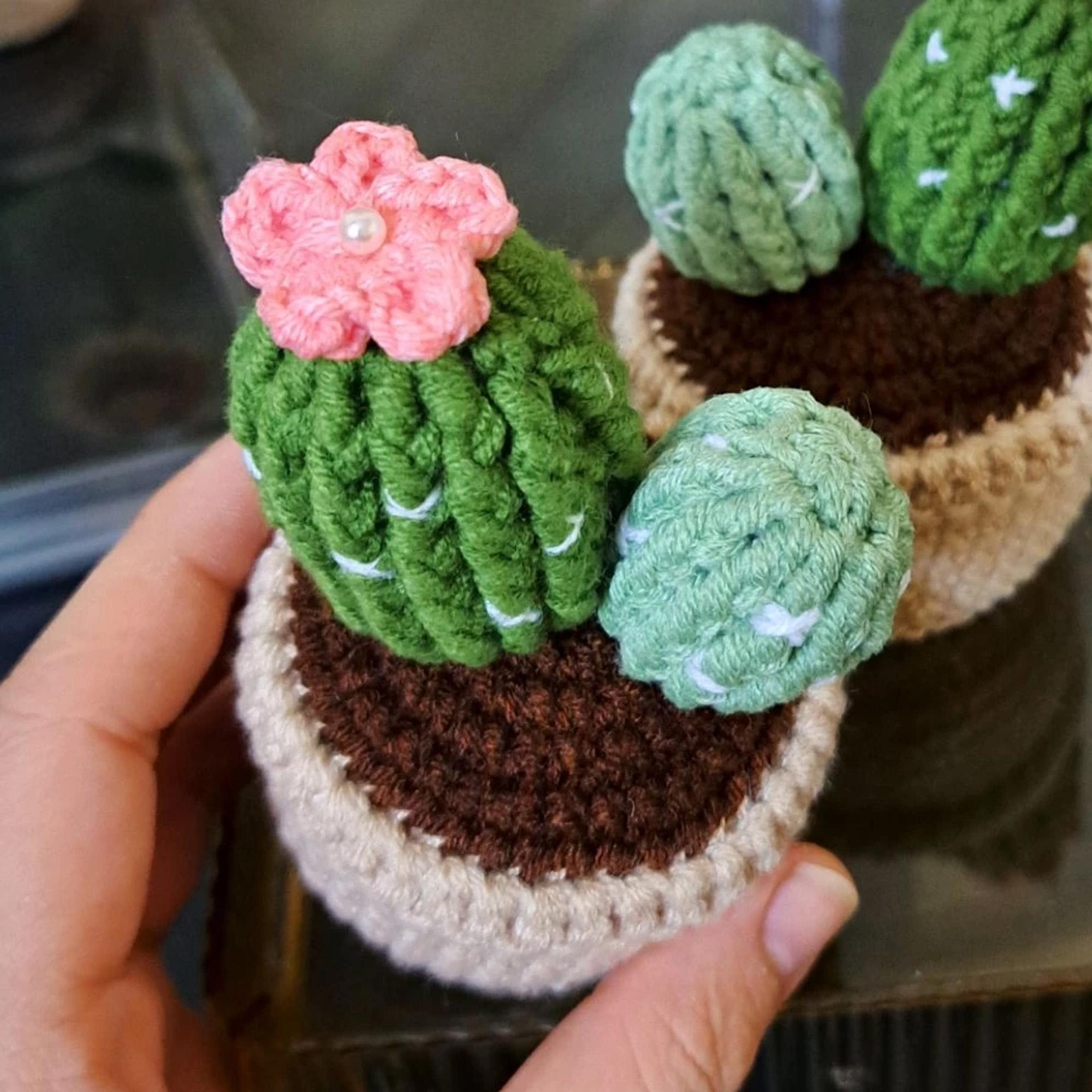 かぎ針編みの鉢植えサボテン | 手作り編みぐるみ装飾植物 | デスク