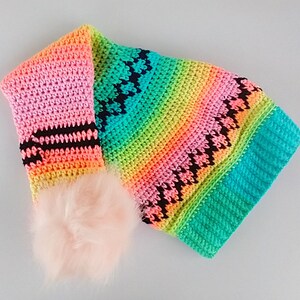PDF Pattern Only--Fun & Whimsy Long Tail Ski Hat, Crochet Instructions, Pattern, How-to