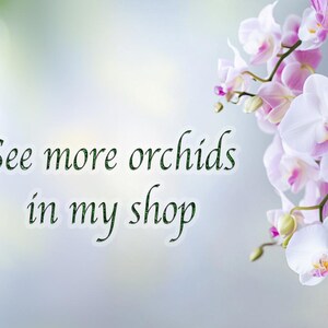 Real Orchid Flower Ring: Botanical Yellow Bloom Jewelry image 9