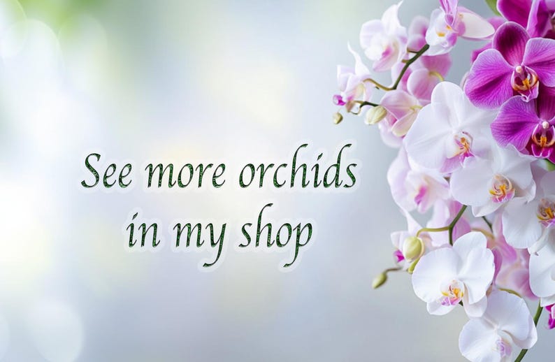 Real Orchid Flower Ring: Botanical Yellow Bloom Jewelry image 9