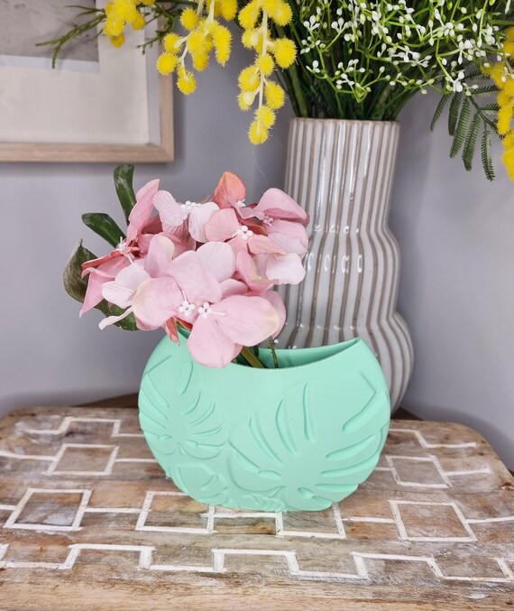 philodendron measure Philodendron Birkin