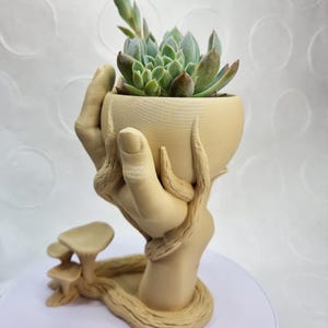Può includere: Un vaso da fiori in ceramica beige a forma di mano che tiene una pianta grassa. La mano è attaccata a una base a forma di tronco d'albero con un vaso laterale a forma di fungo.